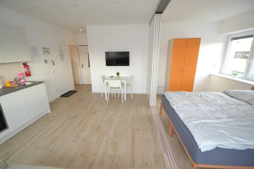 Apartment Schonbrunn *